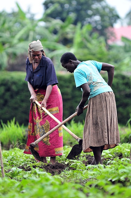 Courtage et Financement